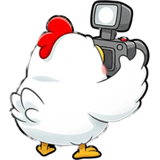 Kurczak z kamerą – Chicken Road Race