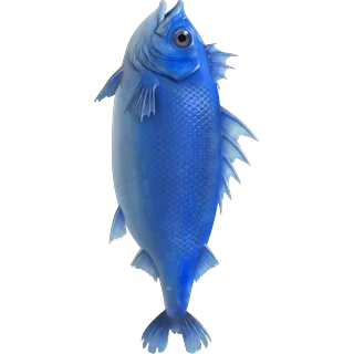 Niebieska ryba – Ice Fish