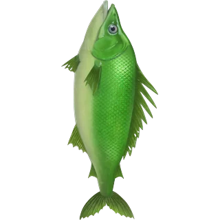 Zielona ryba – Ice Fish