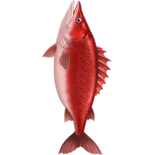 Czerwona ryba – Ice Fish